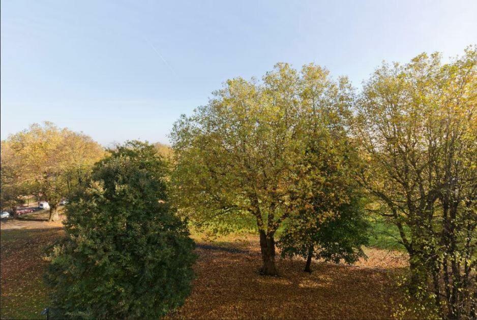 Appartement Wyatt Court Londen